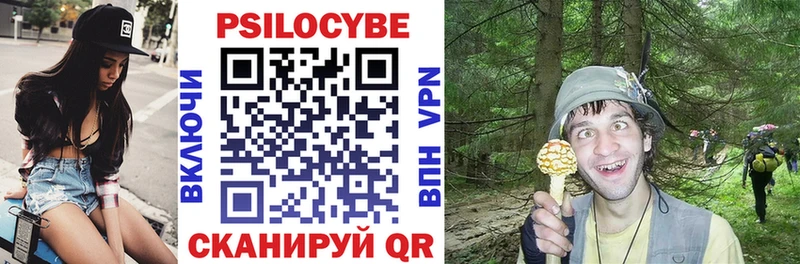 Купить где  Болотное  Галлюциногенные грибы GOLDEN TEACHER 